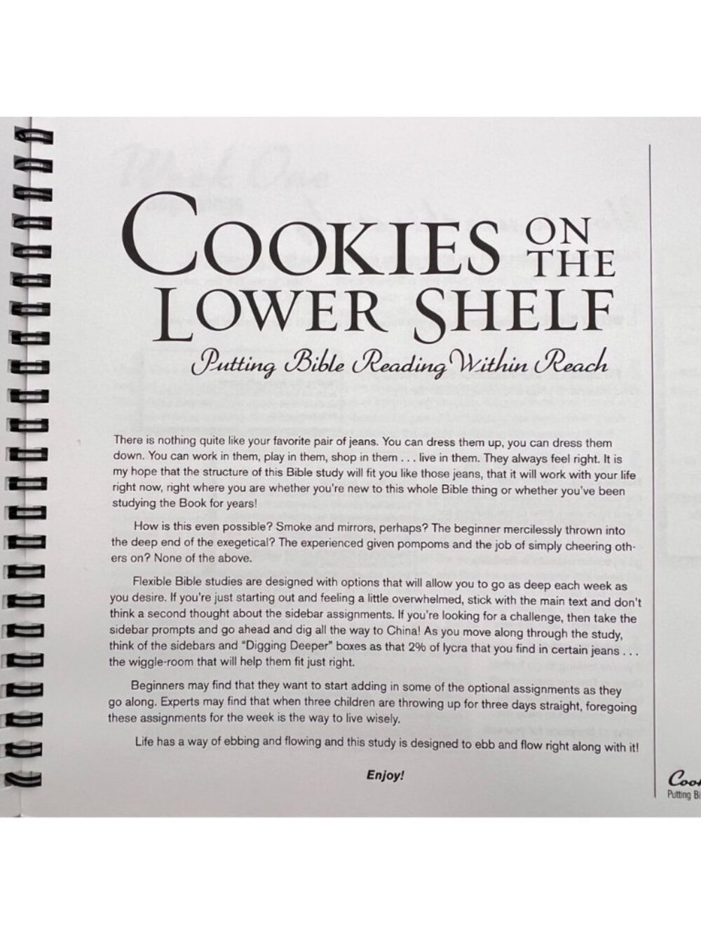 Cookies On The Lower Shelf Part I Genesis-Ruth Spiral-Bound Bible Study Workbook - Picture 5 of 14